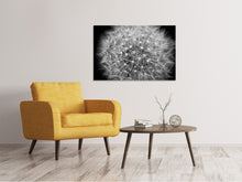 Load image into Gallery viewer, Canvas print Dandelion in XXL