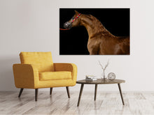 Load image into Gallery viewer, Canvas print Proud horse