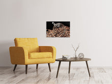 Load image into Gallery viewer, Canvas print Coffee beans XL