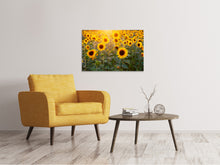 Load image into Gallery viewer, Canvas print Sunflower field