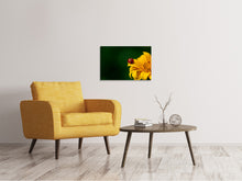 Load image into Gallery viewer, Canvas print Ladybug on the sunflower