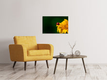 Load image into Gallery viewer, Canvas print Ladybug on the sunflower