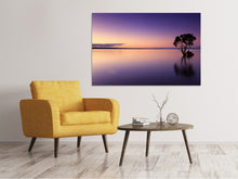 Load image into Gallery viewer, Canvas print Sunset on the tree in the water