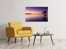 Load image into Gallery viewer, Canvas print Sunset on the tree in the water
