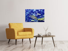 Load image into Gallery viewer, Canvas print A fish in the aquarium