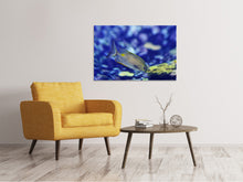 Load image into Gallery viewer, Canvas print A fish in the aquarium