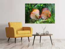Load image into Gallery viewer, Canvas print 2 fish