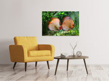 Load image into Gallery viewer, Canvas print 2 fish