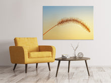 Load image into Gallery viewer, Canvas print Ornamental grass in XXL