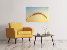 Load image into Gallery viewer, Canvas print Ornamental grass in XXL