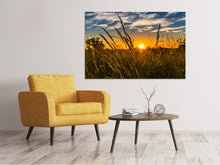 Load image into Gallery viewer, Canvas print The sunset on the field