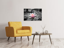 Load image into Gallery viewer, Canvas print The art of water lily