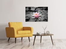Load image into Gallery viewer, Canvas print The art of water lily