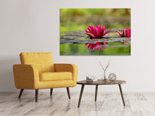 Load image into Gallery viewer, Canvas print Red water lily duo