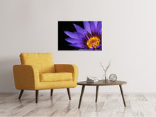 Load image into Gallery viewer, Canvas print XL water lily in purple