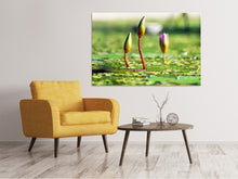 Load image into Gallery viewer, Canvas print Water lilies in XL
