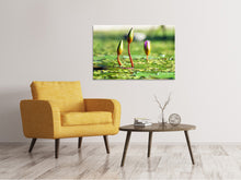 Load image into Gallery viewer, Canvas print Water lilies in XL