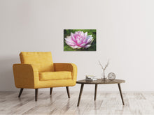 Load image into Gallery viewer, Canvas print Water lily in pink