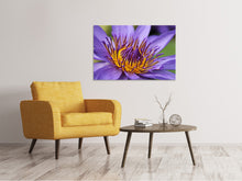 Load image into Gallery viewer, Canvas print XXL water lily in purple