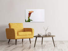 Load image into Gallery viewer, Canvas print Calla in XL