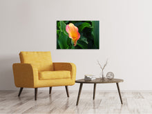 Load image into Gallery viewer, Canvas print Wild Calla