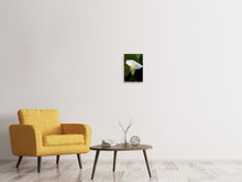Load image into Gallery viewer, Canvas print White calla with morning dew
