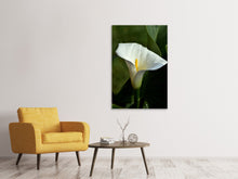 Load image into Gallery viewer, Canvas print White calla with morning dew