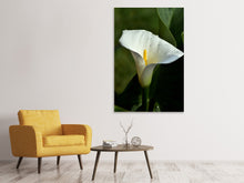 Load image into Gallery viewer, Canvas print White calla with morning dew