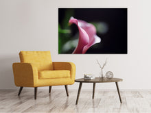 Load image into Gallery viewer, Canvas print Calla in purple