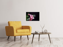 Load image into Gallery viewer, Canvas print Calla in purple