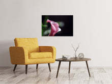 Load image into Gallery viewer, Canvas print Calla in purple