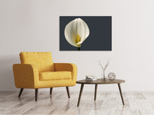 Load image into Gallery viewer, Canvas print Proud Calla