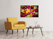 Load image into Gallery viewer, Canvas print Many colorful rose petals