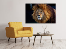 Load image into Gallery viewer, Canvas print Attention lion