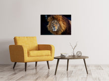 Load image into Gallery viewer, Canvas print Attention lion