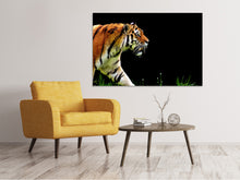 Load image into Gallery viewer, Canvas print Imposing tiger
