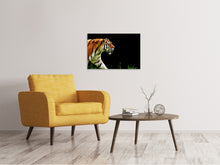 Load image into Gallery viewer, Canvas print Imposing tiger