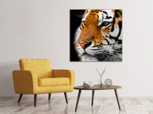 Load image into Gallery viewer, Canvas print Close up tiger head