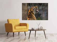 Load image into Gallery viewer, Canvas print Attention Tiger