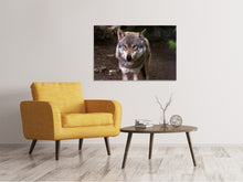 Load image into Gallery viewer, Canvas print The evil wolf