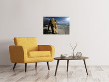 Load image into Gallery viewer, Canvas print A lioness on the beach