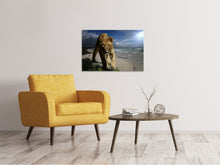 Load image into Gallery viewer, Canvas print A lioness on the beach