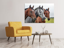 Load image into Gallery viewer, Canvas print The horse trio