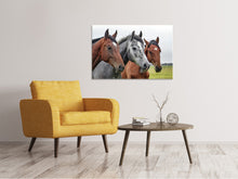 Load image into Gallery viewer, Canvas print The horse trio