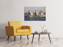 Load image into Gallery viewer, Canvas print Horses in the sea