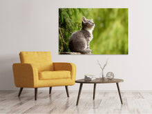 Load image into Gallery viewer, Canvas print wildcat