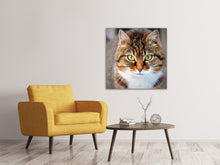 Load image into Gallery viewer, Canvas print Tiger cat