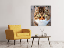 Load image into Gallery viewer, Canvas print Tiger cat