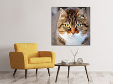 Load image into Gallery viewer, Canvas print Tiger cat