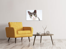 Load image into Gallery viewer, Canvas print Noble cat